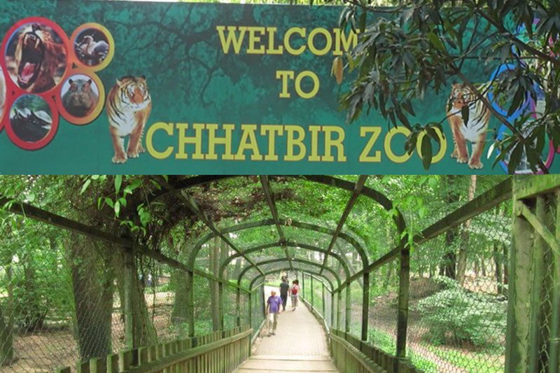 Chhat Bir Zoo